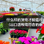 什么样的货物才能退税(出口退税需符合的条件)(图2) 什么样的货物才能退税(出口退税需符合的条件)(图2)
