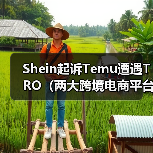 Shein起诉Temu遭遇TRO（两大跨境电商平台短兵相接）（图2）