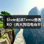 Shein起诉Temu遭遇TRO（两大跨境电商平台短兵相接）（图3）