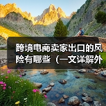 跨境电商卖家出口的风险有哪些(一文详解外贸出口四大风险)(图4) 跨境电商卖家出口的风险有哪些(一文详解外贸出口四大风险)(图4)