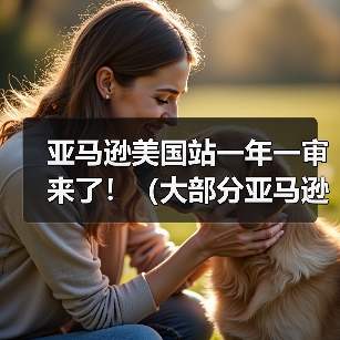 亚马逊美国站一年一审来了!(大部分亚马逊卖家审核不通过吗)(图3) 亚马逊美国站一年一审来了!(大部分亚马逊卖家审核不通过吗)(图3)