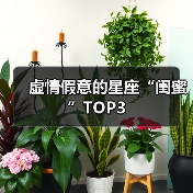 虚情假意的星座“闺蜜”TOP3(图1) 虚情假意的星座“闺蜜”TOP3(图1)