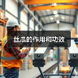 丝瓜的作用和功效(图2) 丝瓜的作用和功效(图2)