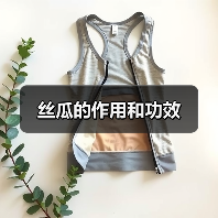 丝瓜的作用和功效(图3) 丝瓜的作用和功效(图3)