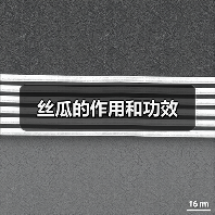 丝瓜的作用和功效(图4) 丝瓜的作用和功效(图4)
