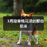 3月迎来桃花运的那些星座（图3）