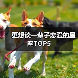 更想谈一辈子恋爱的星座TOP5(图1) 更想谈一辈子恋爱的星座TOP5(图1)