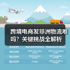 跨境电商发非洲物流难吗?关键挑战全解析(图4) 跨境电商发非洲物流难吗?关键挑战全解析(图4)