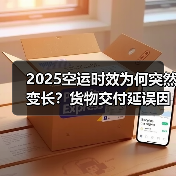2025空运时效为何突然变长?货物交付延误因素解析(图4) 2025空运时效为何突然变长?货物交付延误因素解析(图4)