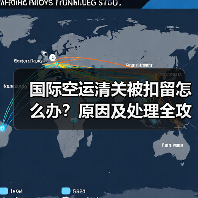国际空运清关被扣留怎么办？原因及处理全攻略（图3）