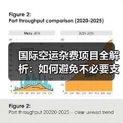 国际空运杂费项目全解析：如何避免不必要支出？