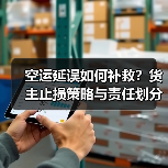 空运延误如何补救?货主止损策略与责任划分(图1) 空运延误如何补救?货主止损策略与责任划分(图1)
