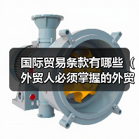 国际贸易条款有哪些(外贸人必须掌握的外贸条款都在这里)(图3) 国际贸易条款有哪些(外贸人必须掌握的外贸条款都在这里)(图3)