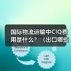 国际物流运输中CIQ费用是什么？（出口哪些产品需要做商检）（图4）