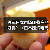 进军日本市场哪些产品好卖？（日本跨境电商市场热卖品类大全）（图1）