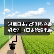 进军日本市场哪些产品好卖？（日本跨境电商市场热卖品类大全）（图2）