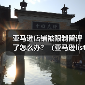 亚马逊店铺被限制留评了怎么办？（亚马逊listing被限制上评该怎么处理）（图4）