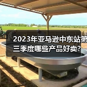 2023年亚马逊中东站第三季度哪些产品好卖？（中东亚马逊卖家选品参考）
