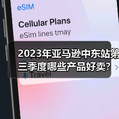 2023年亚马逊中东站第三季度哪些产品好卖？（中东亚马逊卖家选品参考）（图4）