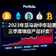 2023年亚马逊中东站第三季度哪些产品好卖？（中东亚马逊卖家选品参考）（图3）