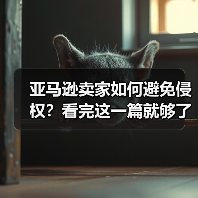 亚马逊卖家如何避免侵权?看完这一篇就够了!(知识产权问题大全)(图4) 亚马逊卖家如何避免侵权?看完这一篇就够了!(知识产权问题大全)(图4)