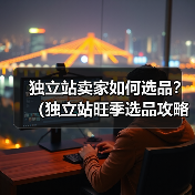 独立站卖家如何选品?(独立站旺季选品攻略)(图3) 独立站卖家如何选品?(独立站旺季选品攻略)(图3)
