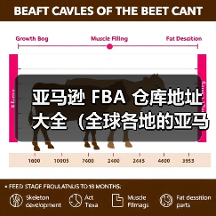 亚马逊 FBA 仓库地址大全(全球各地的亚马逊 FBA 仓库地址)(图1) 亚马逊 FBA 仓库地址大全(全球各地的亚马逊 FBA 仓库地址)(图1)