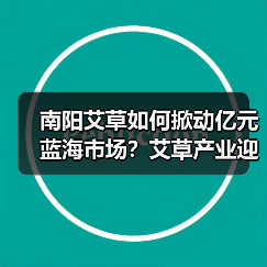 南阳艾草如何掀动亿元蓝海市场？艾草产业迎来新的春天（图3）