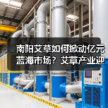 南阳艾草如何掀动亿元蓝海市场？艾草产业迎来新的春天（图4）