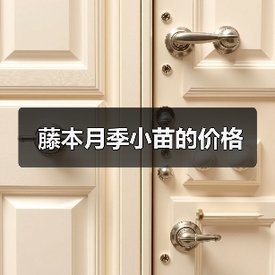 藤本月季小苗的价格(图3) 藤本月季小苗的价格(图3)