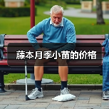 藤本月季小苗的价格(图4) 藤本月季小苗的价格(图4)