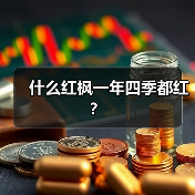 什么红枫一年四季都红?(图3) 什么红枫一年四季都红?(图3)
