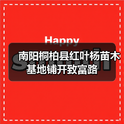 南阳桐柏县红叶杨苗木基地铺开致富路