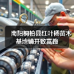 南阳桐柏县红叶杨苗木基地铺开致富路（图3）