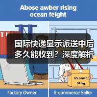 国际快递显示派送中后多久能收到?深度解析时效影响因素(图3) 国际快递显示派送中后多久能收到?深度解析时效影响因素(图3)