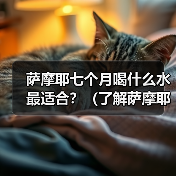 萨摩耶七个月喝什么水最适合?(了解萨摩耶七个月喝水的重要性及选择合适的饮水方式)(图3) 萨摩耶七个月喝什么水最适合?(了解萨摩耶七个月喝水的重要性及选择合适的饮水方式)(图3)