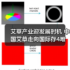 艾草产业迎发展时机 中国艾草走向国际存4难题