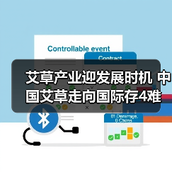 艾草产业迎发展时机 中国艾草走向国际存4难题（图3）