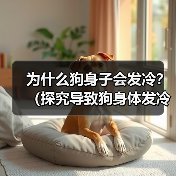 为什么狗身子会发冷?(探究导致狗身体发冷的原因及应对方法)(图1) 为什么狗身子会发冷?(探究导致狗身体发冷的原因及应对方法)(图1)