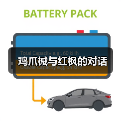 鸡爪槭与红枫的对话(图1) 鸡爪槭与红枫的对话(图1)