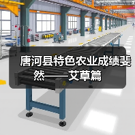 唐河县特色农业成绩斐然——艾草篇