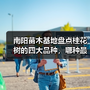 南阳苗木基地盘点桂花树的四大品种，哪种最香最好最名贵？