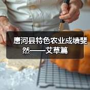 唐河县特色农业成绩斐然——艾草篇（图3）