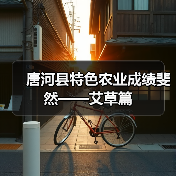 唐河县特色农业成绩斐然——艾草篇（图4）