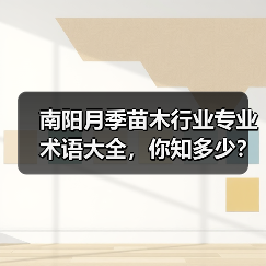 南阳月季苗木行业专业术语大全，你知多少？内容太多（图3）