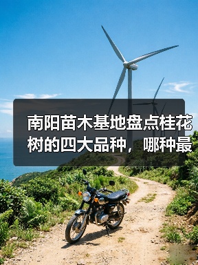 南阳苗木基地盘点桂花树的四大品种，哪种最香最好最名贵？（图4）