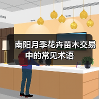 南阳月季花卉苗木交易中的常见术语(图2) 南阳月季花卉苗木交易中的常见术语(图2)