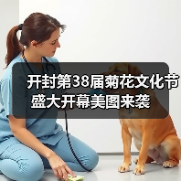 开封第38届菊花文化节盛大开幕美图来袭(图2) 开封第38届菊花文化节盛大开幕美图来袭(图2)