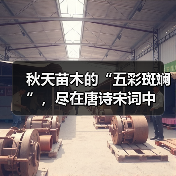 秋天苗木的“五彩斑斓”，尽在唐诗宋词中