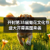 开封第38届菊花文化节盛大开幕美图来袭(图4) 开封第38届菊花文化节盛大开幕美图来袭(图4)